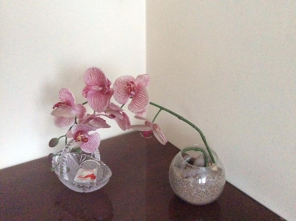 Kotedzai Milikoniu G. Apartment Kaunas Ngoại thất bức ảnh